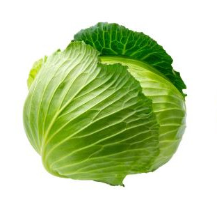 cabbage