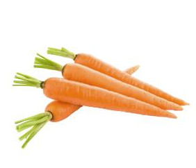 carrot