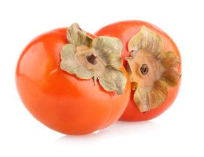 persimmon